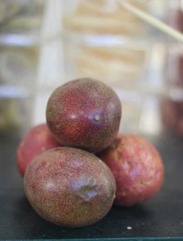 Fruits-le-potager-coudoux