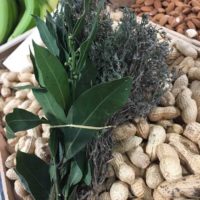 Plante Arômatique - le potager coudoux