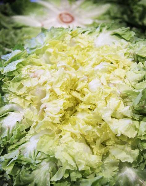 Légumes - salade - le potager coudoux