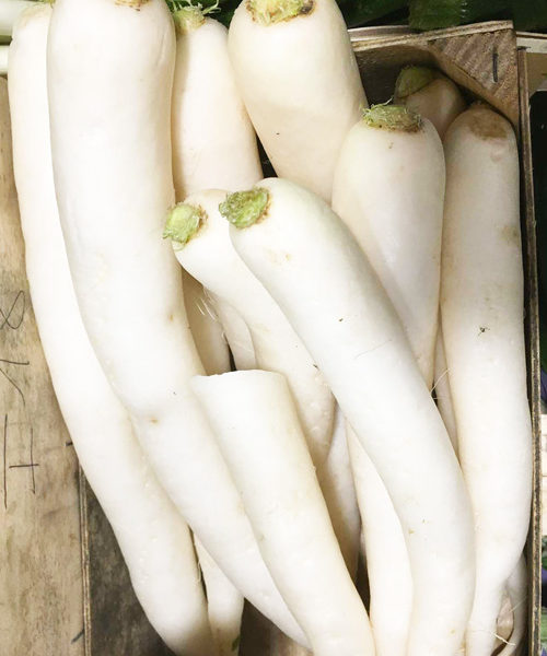 legume-navet-bio-potager-coudoux