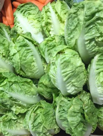 Légumes - salade - le potager coudoux