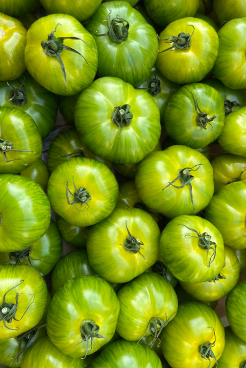 tomate-green-zebra-face-potager-coudoux