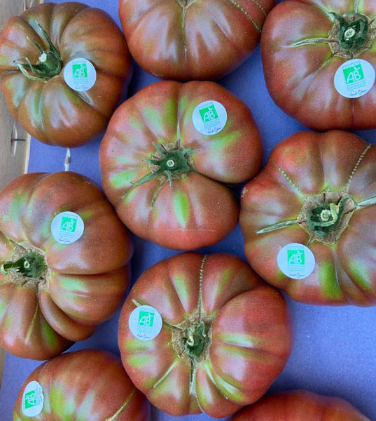 tomates-noir-de-crimee-bio-anciennes-provence-potager-coudoux