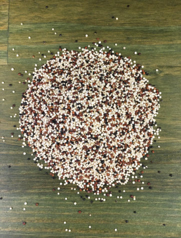 quinoa tricolore pérou vrac bio potager de coudoux